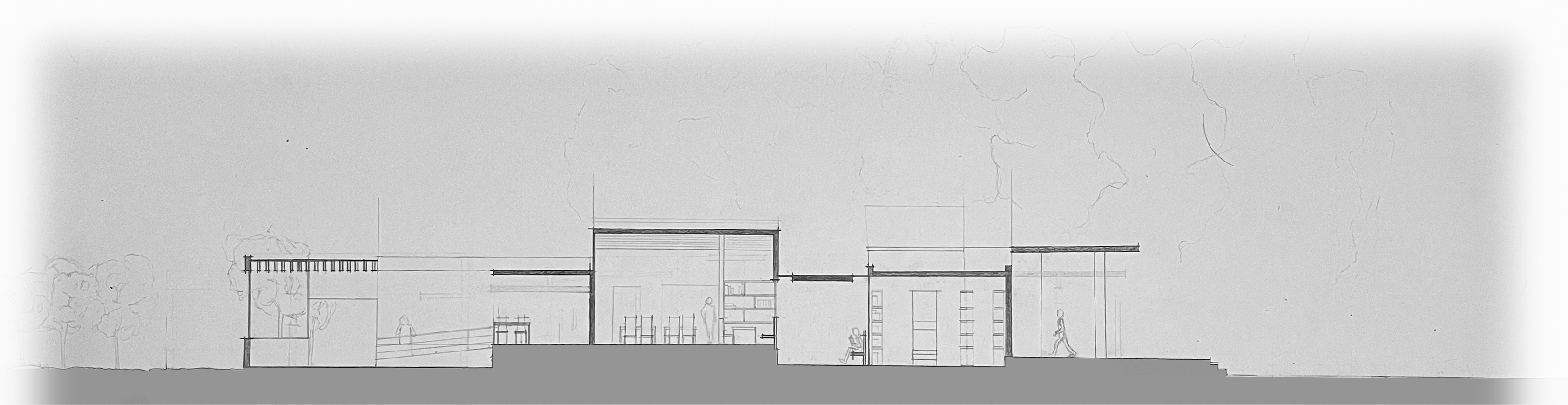 Planta — proceso